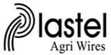 plastel plastel.jpg