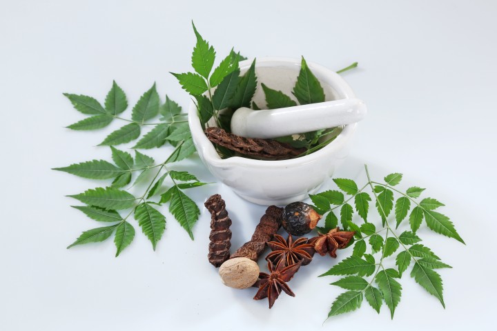 ayurvedic herbs with mortar and pestle